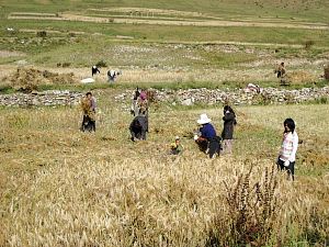 Pioniertour 1, China - Tibet (Chengdu-Lhasa) - Foto 101